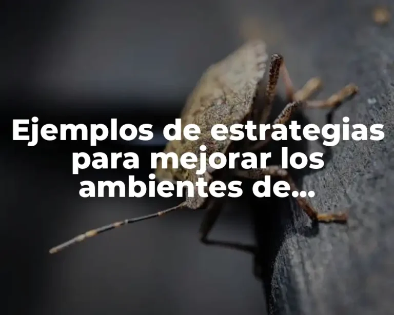 Ejemplos de estrategias para mejorar los ambientes de aprendizaje