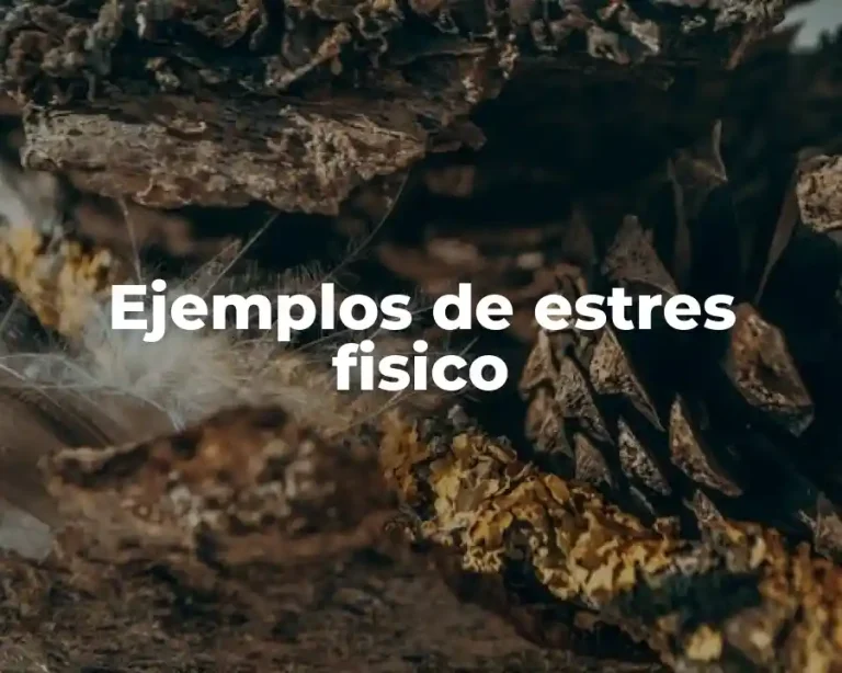 Ejemplos de estres fisico