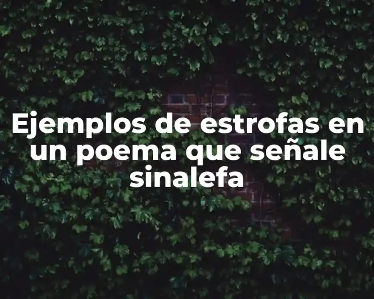 Ejemplos de estrofas en un poema que señale sinalefa
