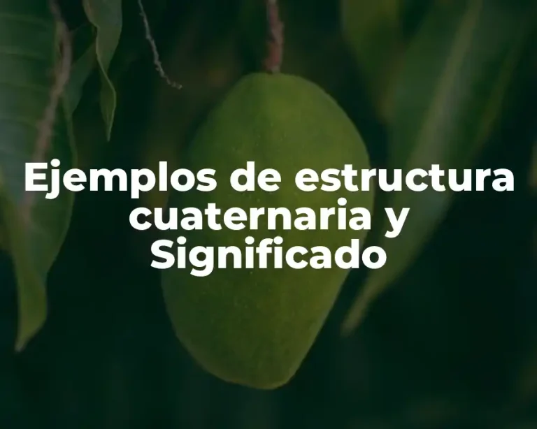 Ejemplos de estructura cuaternaria y Significado