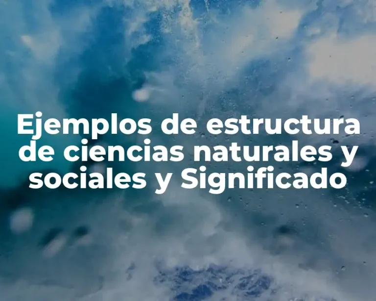 Ejemplos de estructura de ciencias naturales y sociales y Significado