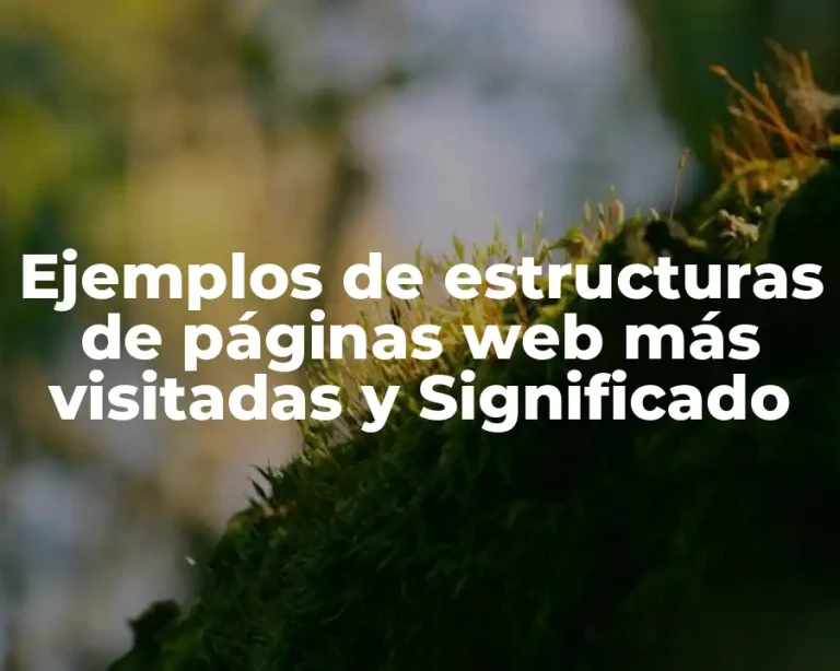 Ejemplos de estructuras de páginas web más visitadas y Significado