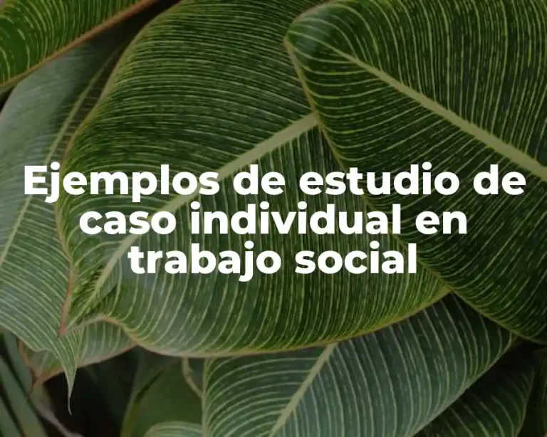 Ejemplos de estudio de caso individual en trabajo social