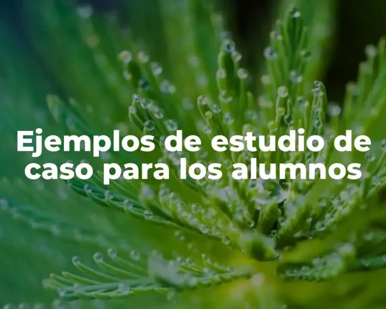 Ejemplos de estudio de caso para los alumnos