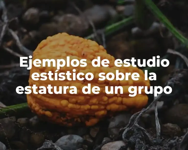 Ejemplos de estudio estístico sobre la estatura de un grupo