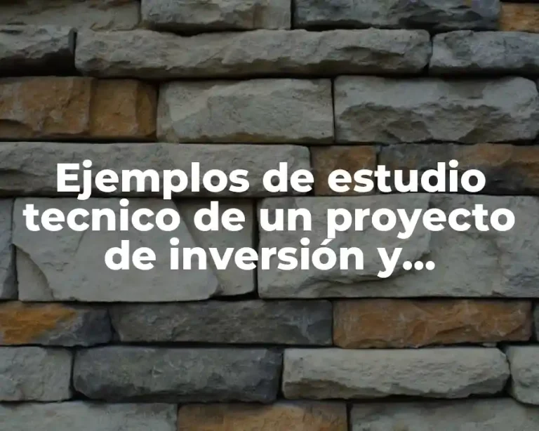 Ejemplos de estudio tecnico de un proyecto de inversión y Significado