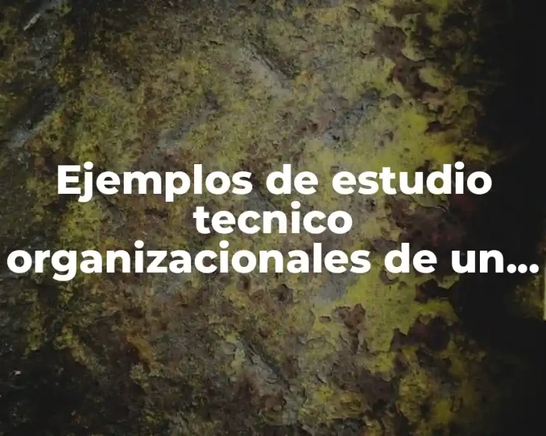 Ejemplos de estudio tecnico organizacionales de un proyecto de inversion