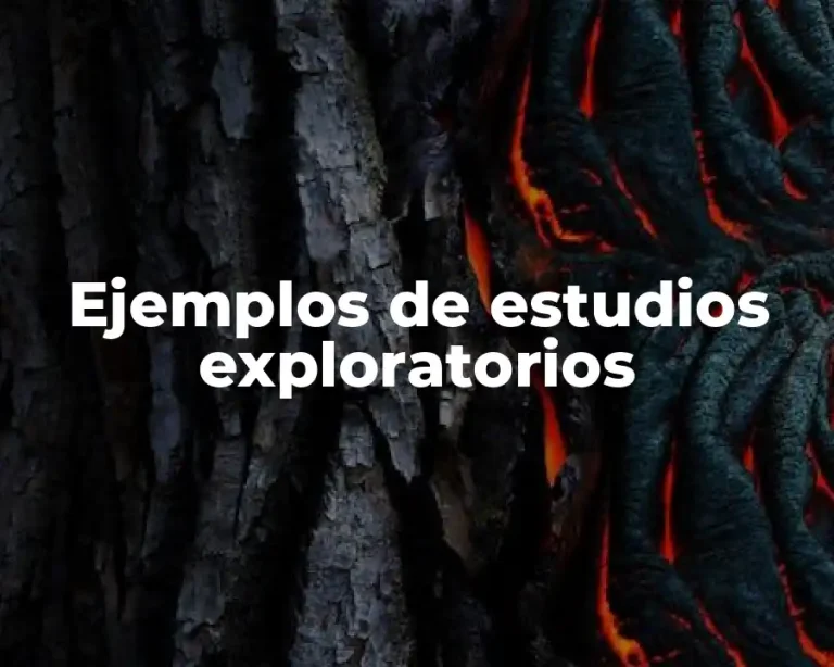 Ejemplos de estudios exploratorios