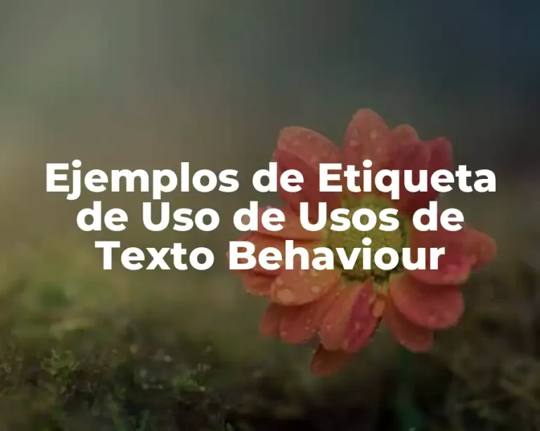 Ejemplos de Etiqueta de Uso de Usos de Texto Behaviour