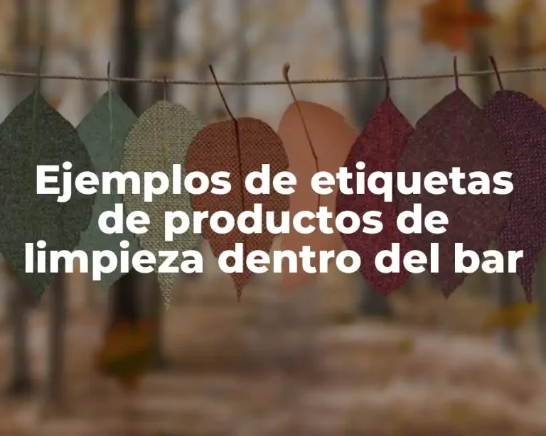 Ejemplos de etiquetas de productos de limpieza dentro del bar