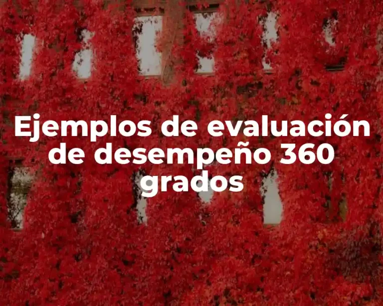 Ejemplos de evaluación de desempeño 360 grados