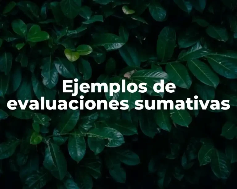 Ejemplos de evaluaciones sumativas
