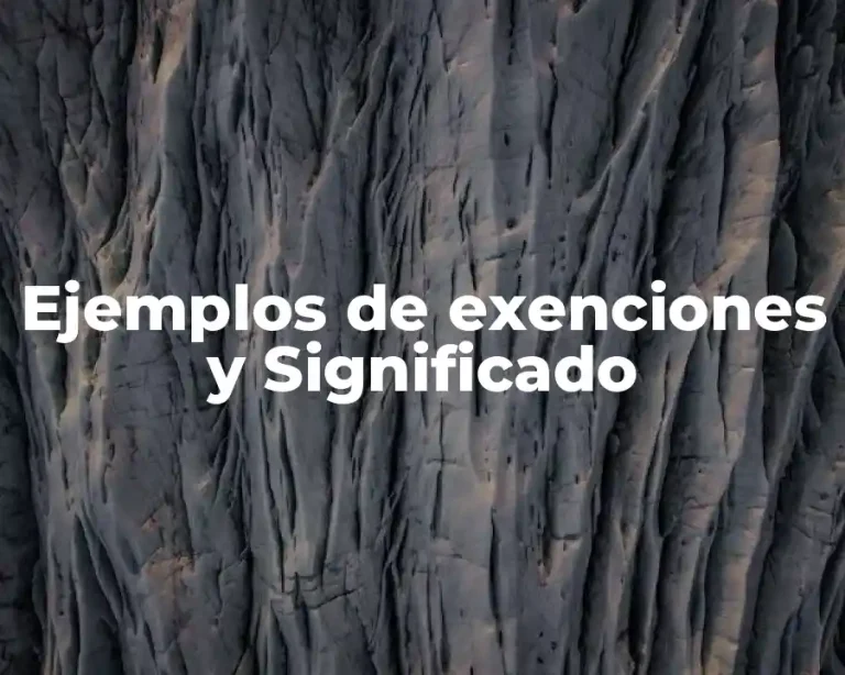 Ejemplos de exenciones y Significado