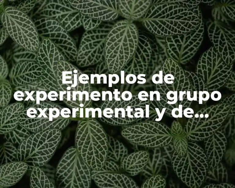 Ejemplos de experimento en grupo experimental y de control