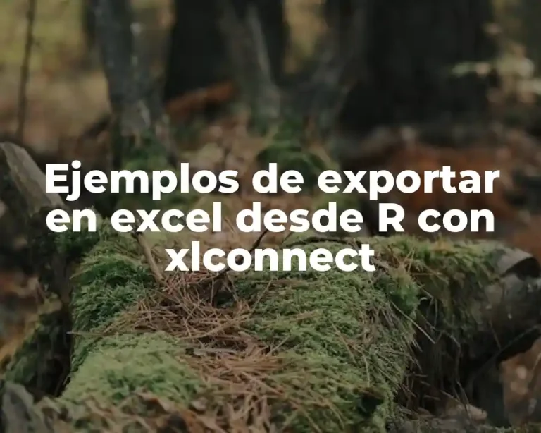 Ejemplos de exportar en excel desde R con xlconnect
