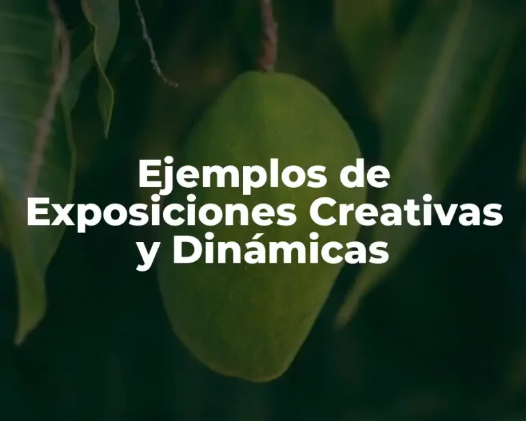 Ejemplos de Exposiciones Creativas y Dinámicas