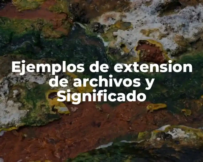 Ejemplos de extension de archivos y Significado