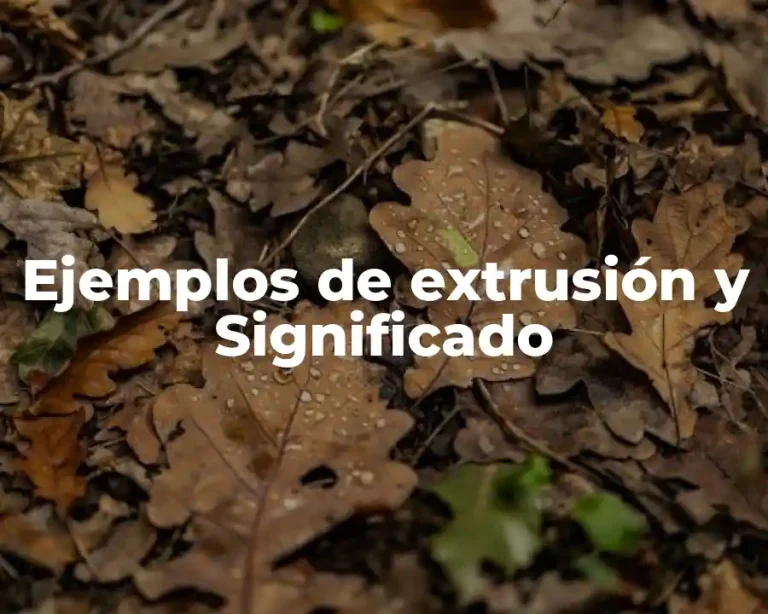 Ejemplos de extrusión y Significado