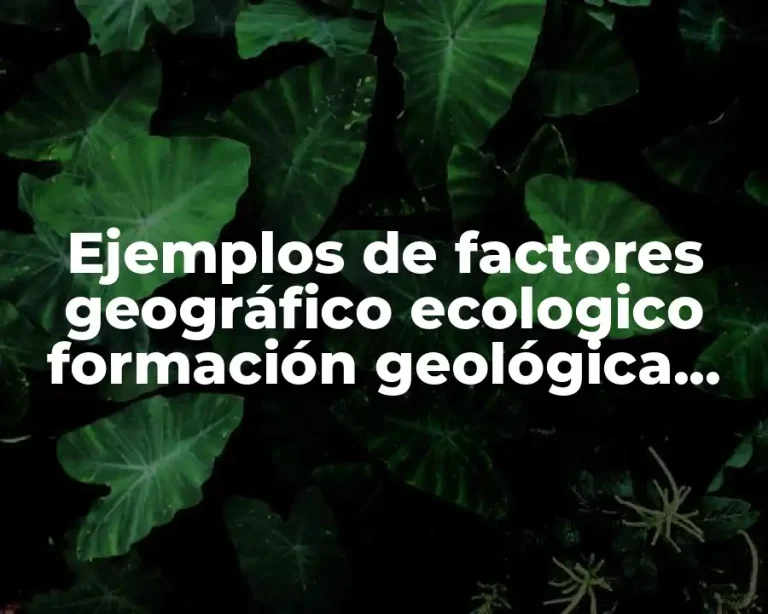 Ejemplos de factores geográfico ecologico formación geológica del suelo