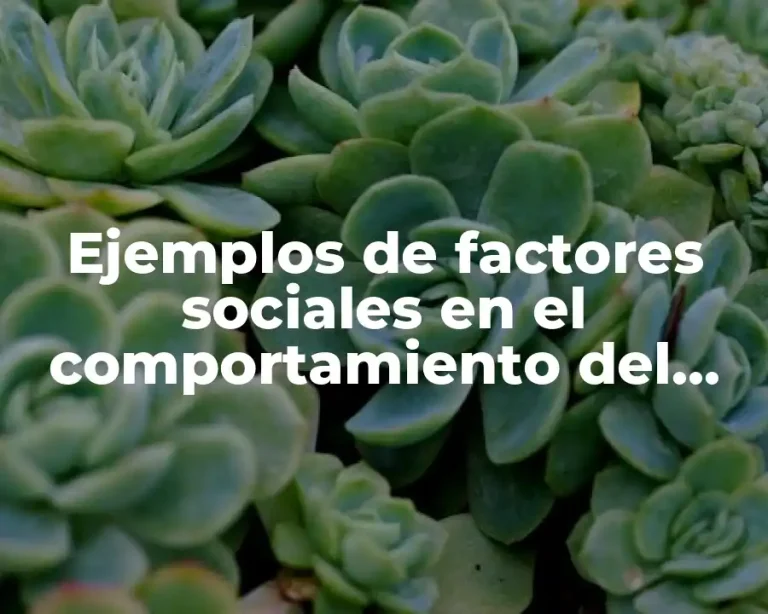 Ejemplos de factores sociales en el comportamiento del consumidor y Significado