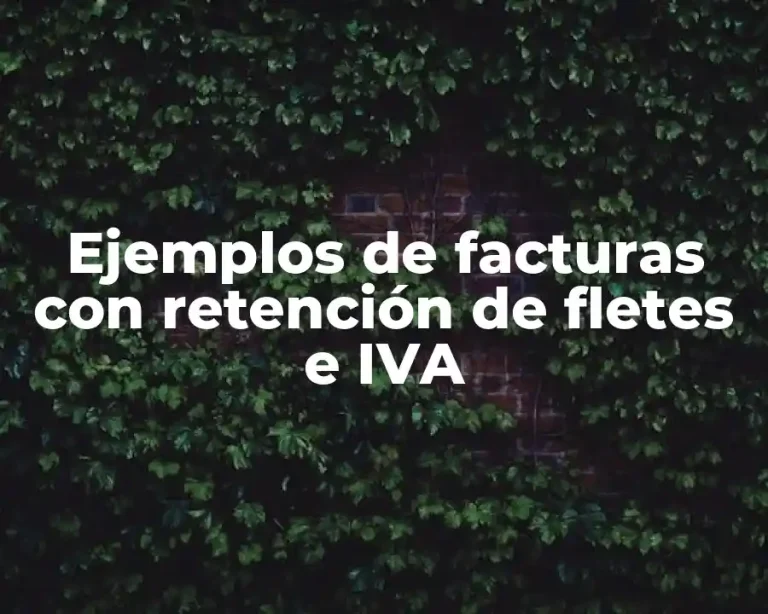 Ejemplos de facturas con retención de fletes e IVA