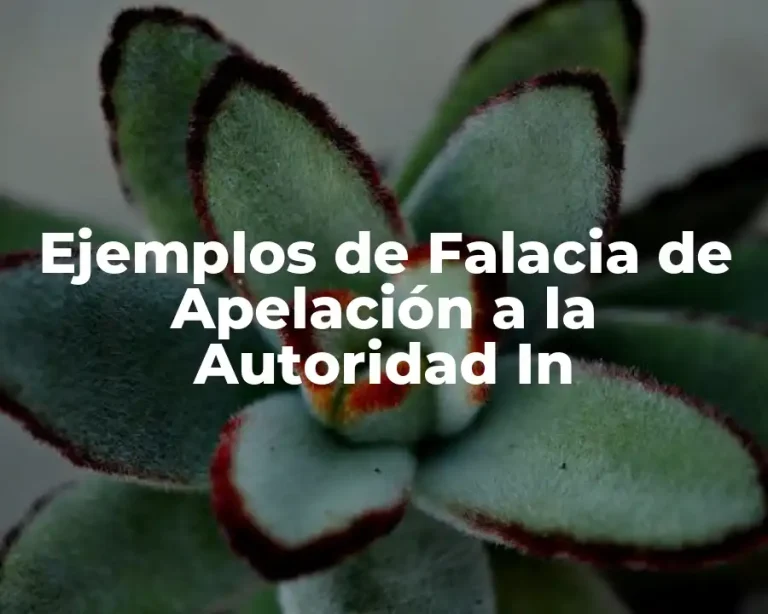 Ejemplos de Falacia de Apelación a la Autoridad In