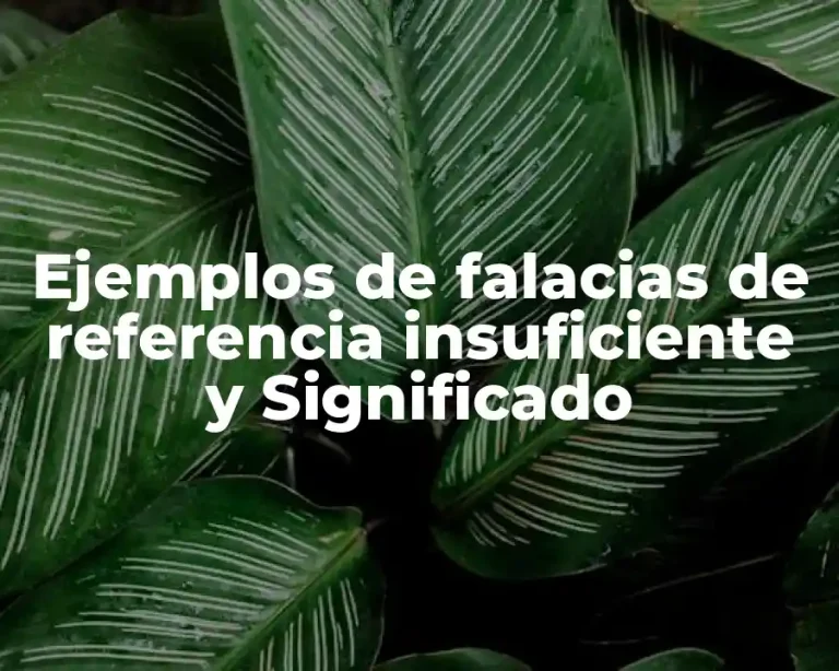 Ejemplos de falacias de referencia insuficiente y Significado