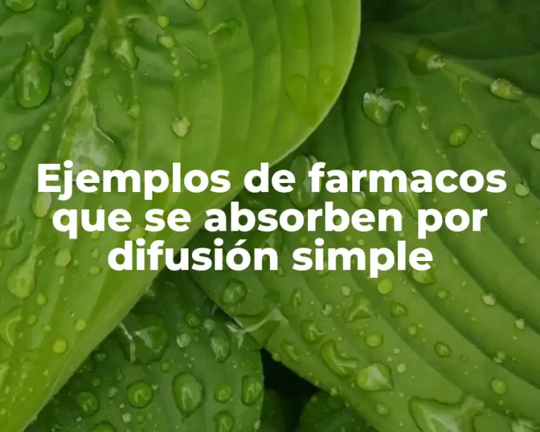 Ejemplos de farmacos que se absorben por difusión simple