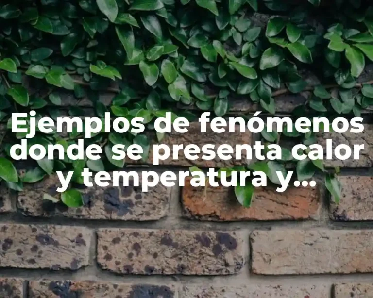 Ejemplos de fenómenos donde se presenta calor y temperatura y Significado