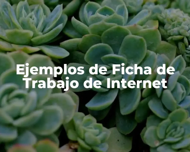 Ejemplos de Ficha de Trabajo de Internet