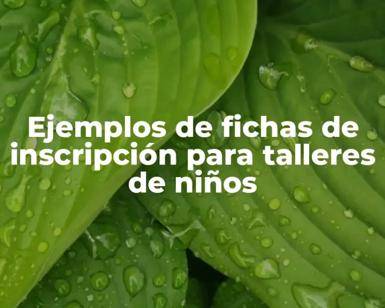 Ejemplos de fichas de inscripción para talleres de niños