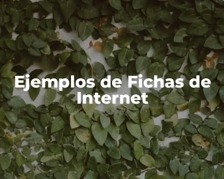 Ejemplos de Fichas de Internet