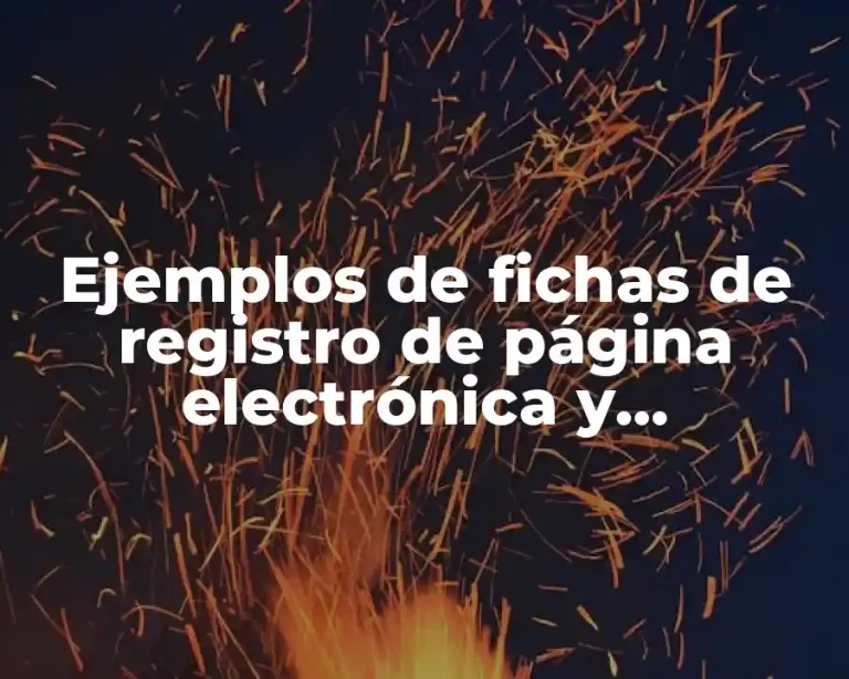 Ejemplos de fichas de registro de página electrónica y Significado