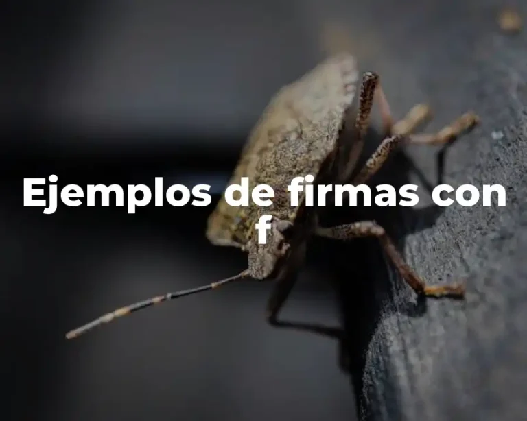 Ejemplos de firmas con f