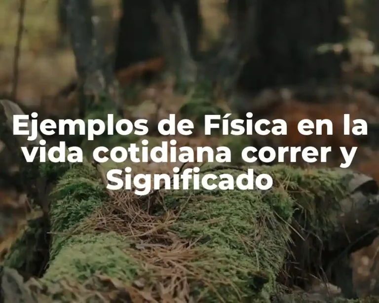 Ejemplos de Física en la vida cotidiana correr y Significado