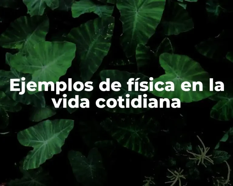 Ejemplos de física en la vida cotidiana