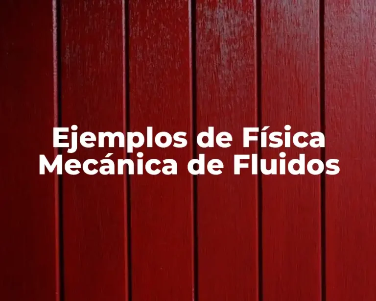 Ejemplos de Física Mecánica de Fluidos