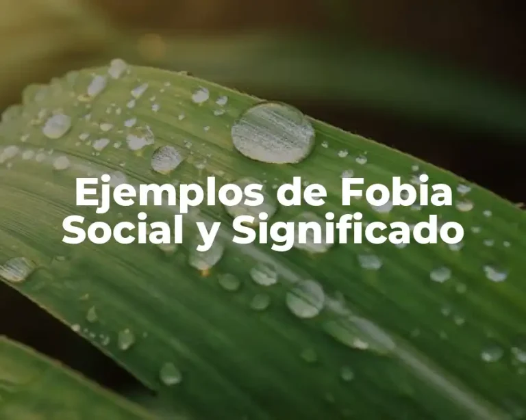 Ejemplos de Fobia Social y Significado