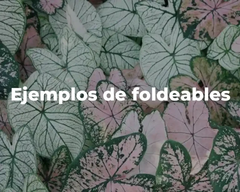 Ejemplos de foldeables