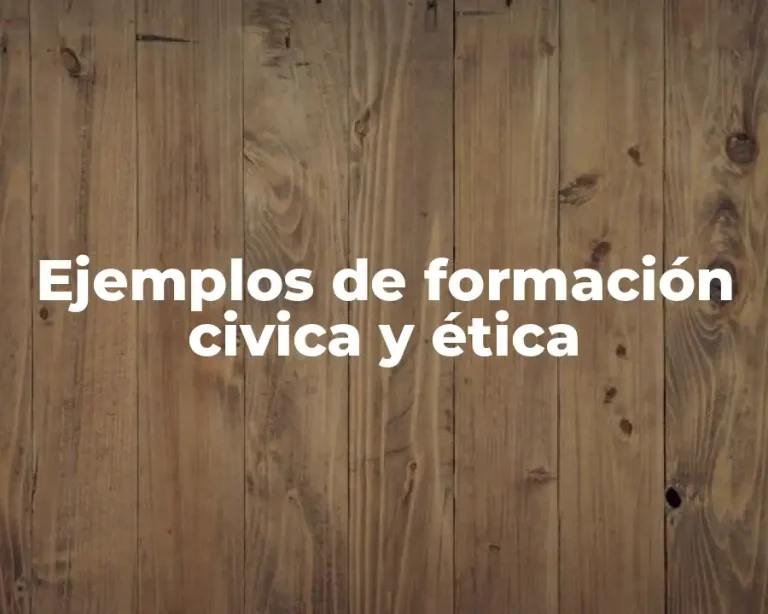 Ejemplos de formación civica y ética