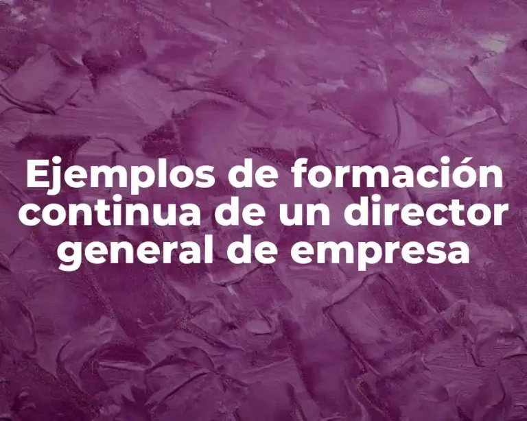 Ejemplos de formación continua de un director general de empresa