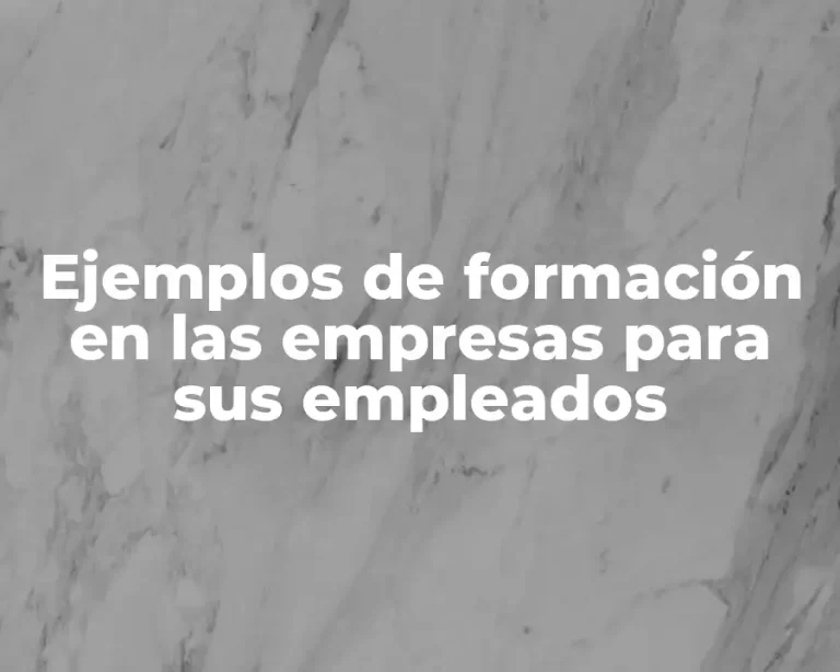 Ejemplos de formación en las empresas para sus empleados