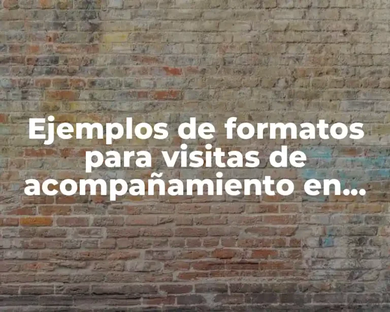 Ejemplos de formatos para visitas de acompañamiento en preescolar