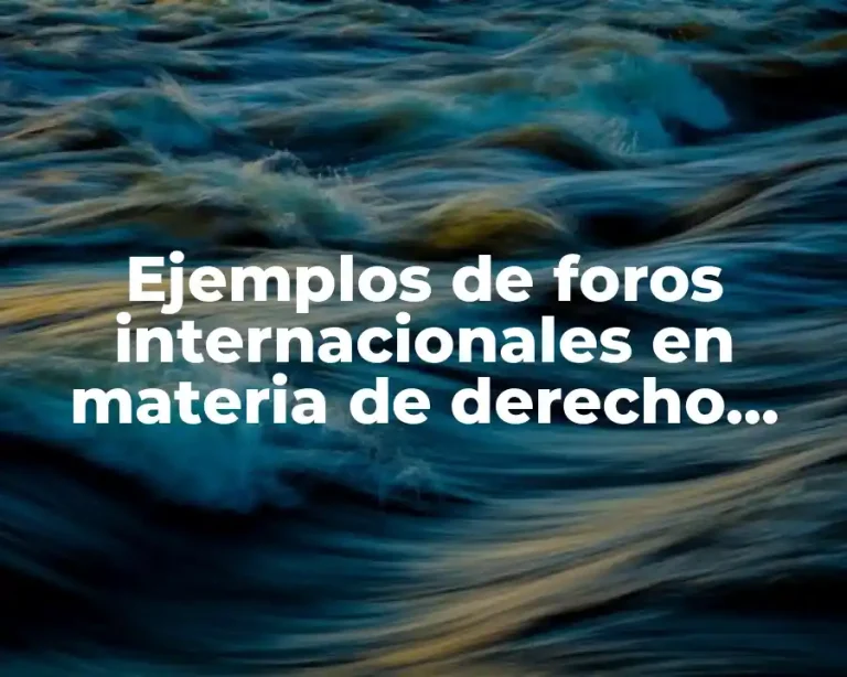 Ejemplos de foros internacionales en materia de derecho internacional