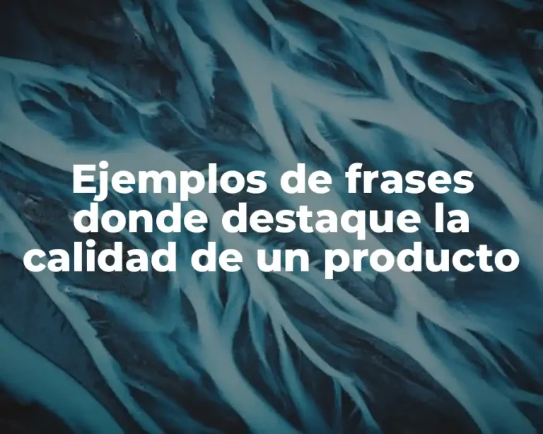 Ejemplos de frases donde destaque la calidad de un producto
