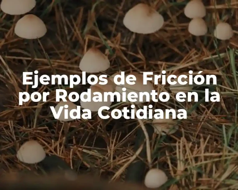 Ejemplos de Fricción por Rodamiento en la Vida Cotidiana