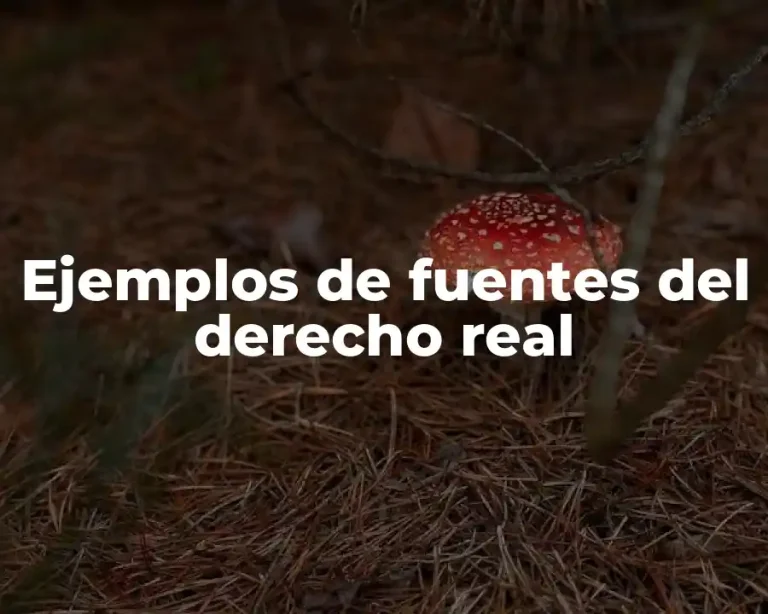 Ejemplos de fuentes del derecho real