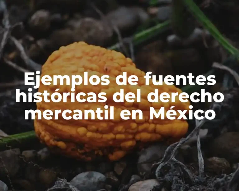 Ejemplos de fuentes históricas del derecho mercantil en México