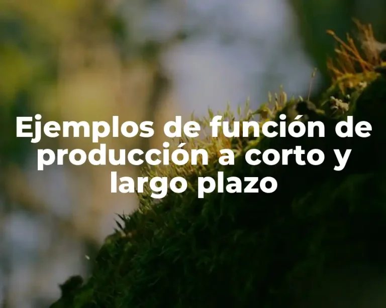 Ejemplos de función de producción a corto y largo plazo