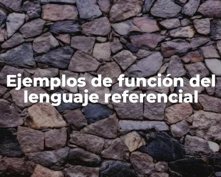 Ejemplos de función del lenguaje referencial